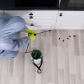 Wanted: Buyers, Not Bugs: Top Pest Control Tips To Help You Sell Houses In Calgary