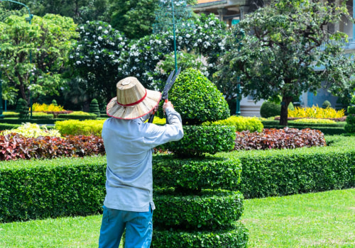 How Tree Service Enhances Marketability To Sell House In Valley Station, KY