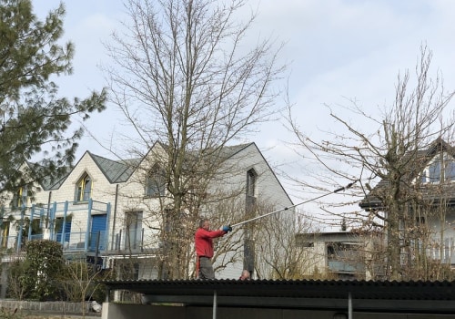 Boost Your Curb Appeal: Tree Cutting Services In Bethany, OK, Before Selling Your House