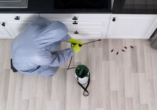 Wanted: Buyers, Not Bugs: Top Pest Control Tips To Help You Sell Houses In Calgary